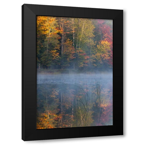 MI, Thornton Lake with fog and tree reflections Black Modern Wood Framed Art Print with Double Matting by Rotenberg, Nancy