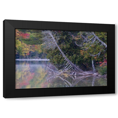 MI, Petes Lake reflects autumn foliage Black Modern Wood Framed Art Print with Double Matting by Rotenberg, Nancy