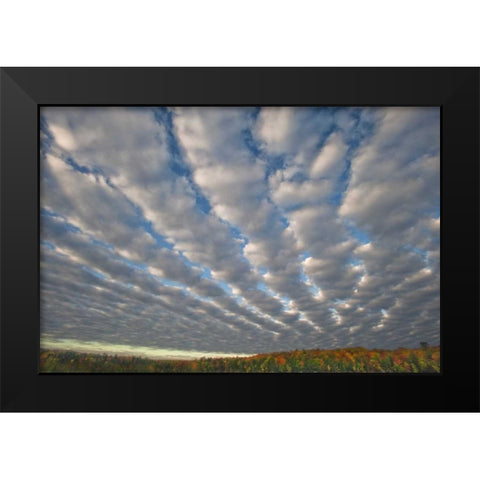 Michigan Clouds over Petes Lake in autumn Black Modern Wood Framed Art Print by Rotenberg, Nancy