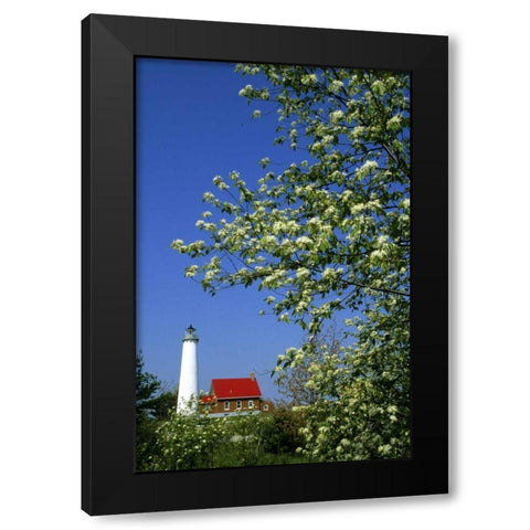 MI, East Tawas Tawas Lighthouse and cherry trees Black Modern Wood Framed Art Print with Double Matting by Carlson, Mark