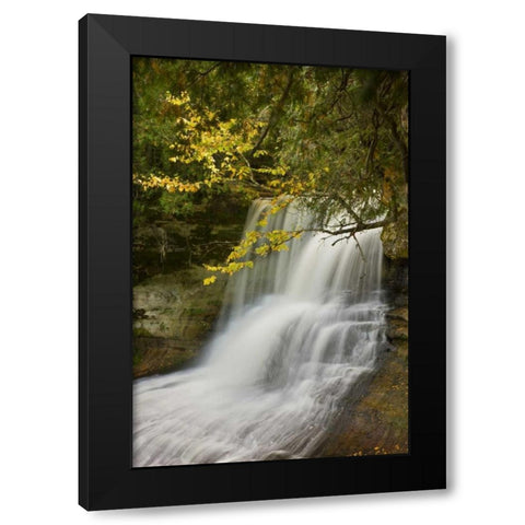MI, Hiawatha NF Laughing Whitefish Falls in fall Black Modern Wood Framed Art Print by Grall, Don