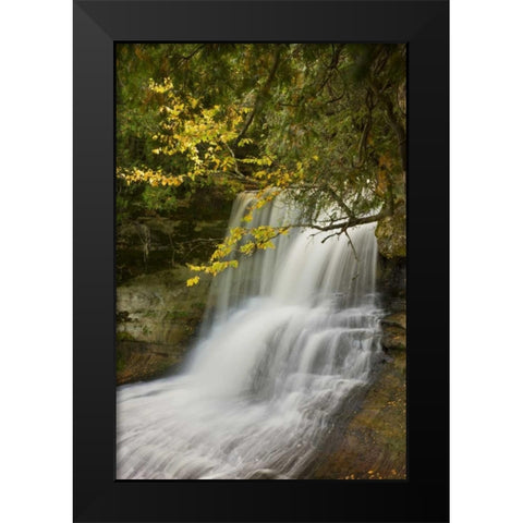 MI, Hiawatha NF Laughing Whitefish Falls in fall Black Modern Wood Framed Art Print by Grall, Don