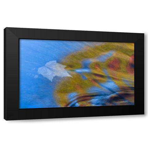 Michigan, Upper Peninsula Bond Falls reflections Black Modern Wood Framed Art Print with Double Matting by Rotenberg, Nancy