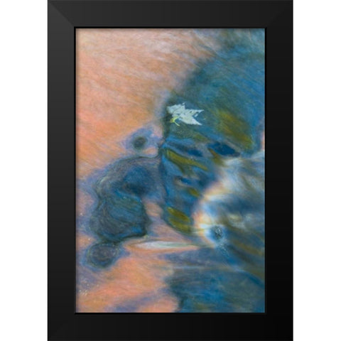 Michigan, Upper Peninsula Bond Falls reflections Black Modern Wood Framed Art Print by Rotenberg, Nancy