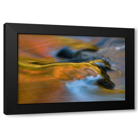 Michigan, Upper Peninsula Bond Falls reflections Black Modern Wood Framed Art Print by Rotenberg, Nancy