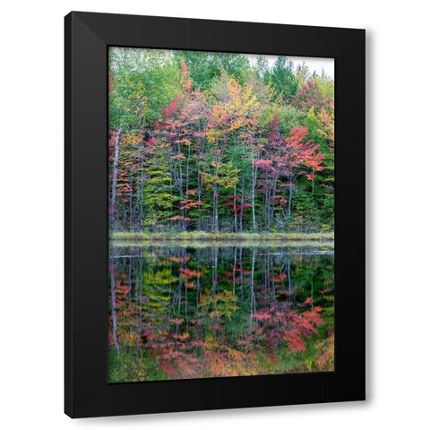 Thornton Lake in fall color-Alger County-Michigan Black Modern Wood Framed Art Print with Double Matting by Day, Richard and Susan