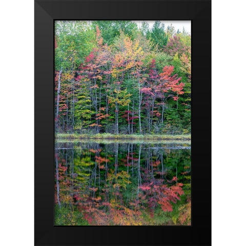 Thornton Lake in fall color-Alger County-Michigan Black Modern Wood Framed Art Print by Day, Richard and Susan