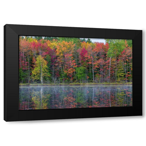 Thornton Lake in fall color-Alger County-Michigan Black Modern Wood Framed Art Print with Double Matting by Day, Richard and Susan
