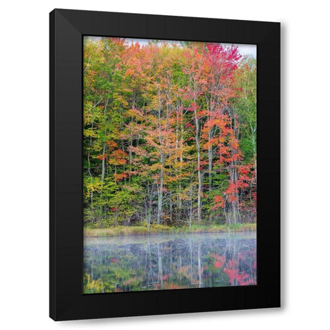 Thornton Lake in fall color-Alger County-Michigan Black Modern Wood Framed Art Print with Double Matting by Day, Richard and Susan