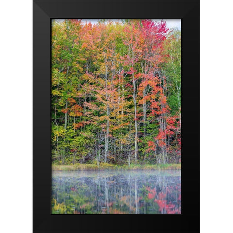 Thornton Lake in fall color-Alger County-Michigan Black Modern Wood Framed Art Print by Day, Richard and Susan