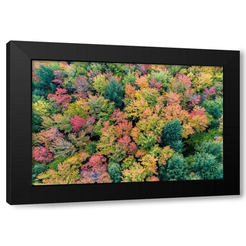 Aerial view of Hugoboom Lake in fall color-Alger County-Michigan Black Modern Wood Framed Art Print with Double Matting by Day, Richard and Susan