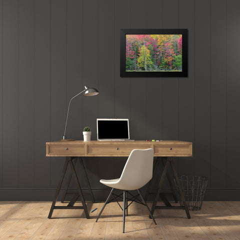 Thornton Lake in fall color-Alger County-Michigan Black Modern Wood Framed Art Print by Day, Richard and Susan