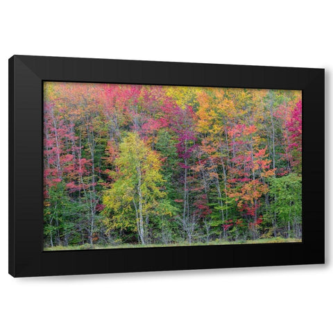 Thornton Lake in fall color-Alger County-Michigan Black Modern Wood Framed Art Print with Double Matting by Day, Richard and Susan