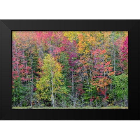 Thornton Lake in fall color-Alger County-Michigan Black Modern Wood Framed Art Print by Day, Richard and Susan