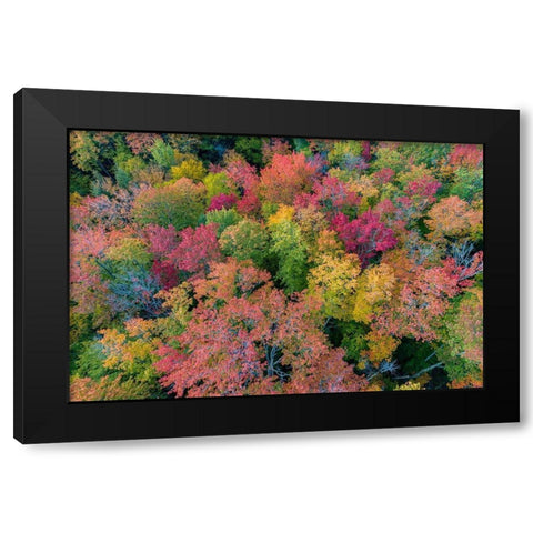 Aerial view of Hugoboom Lake in fall color-Alger County-Michigan Black Modern Wood Framed Art Print with Double Matting by Day, Richard and Susan