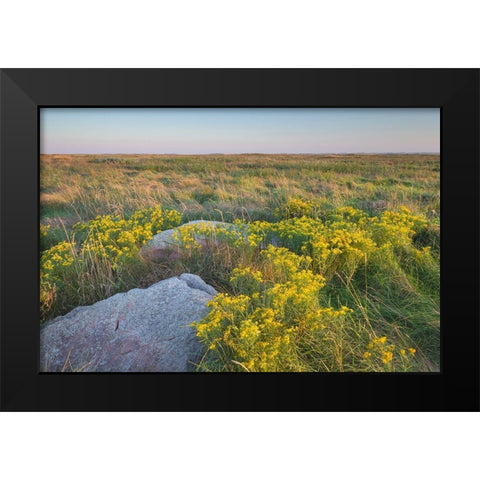 Touch the Sky Prairie southwest-Minnesota Black Modern Wood Framed Art Print by Majchrowicz, Alan