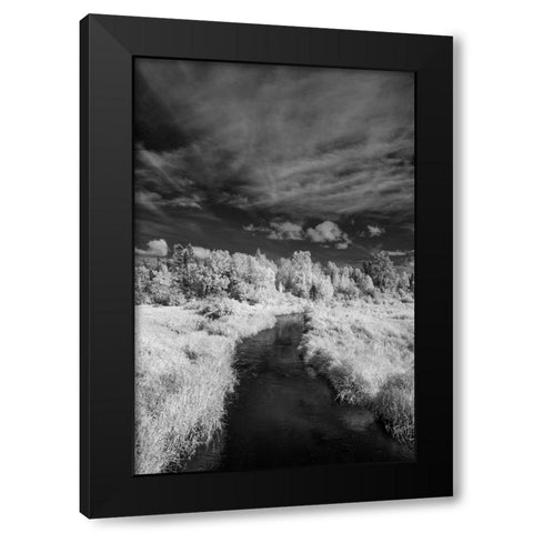 USA-Minnesota-Mississippi River Headwaters region-Mississippi River Black Modern Wood Framed Art Print by Hawkins, Peter