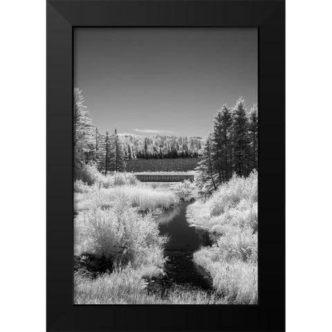 USA-Minnesota-La Salle State Recreation Area Black Modern Wood Framed Art Print by Hawkins, Peter