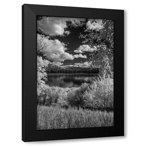 USA-Minnesota-La Salle State Recreation area Black Modern Wood Framed Art Print by Hawkins, Peter