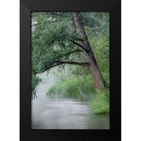 USA-Minnesota-Itasca State Park-Mississippi Headwaters Black Modern Wood Framed Art Print by Hawkins, Peter