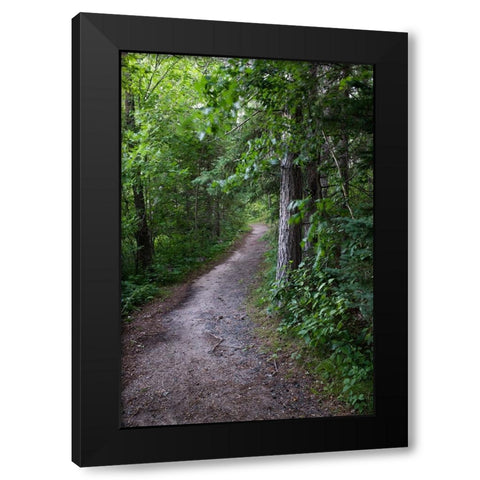 USA-Minnesota-La Salle State Recreation Area Black Modern Wood Framed Art Print with Double Matting by Hawkins, Peter