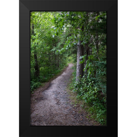 USA-Minnesota-La Salle State Recreation Area Black Modern Wood Framed Art Print by Hawkins, Peter