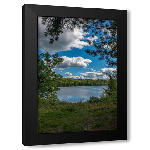 USA-Minnesota-La Salle State Recreation area Black Modern Wood Framed Art Print by Hawkins, Peter