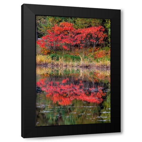 USA-Minnsota-Duluth-Fall Color Black Modern Wood Framed Art Print with Double Matting by Hawkins, Peter