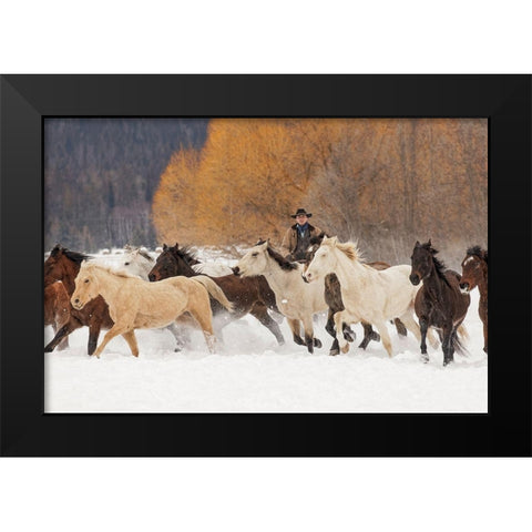 Cowboys during winter roundup-Kalispell-Montana Black Modern Wood Framed Art Print by Jones, Adam