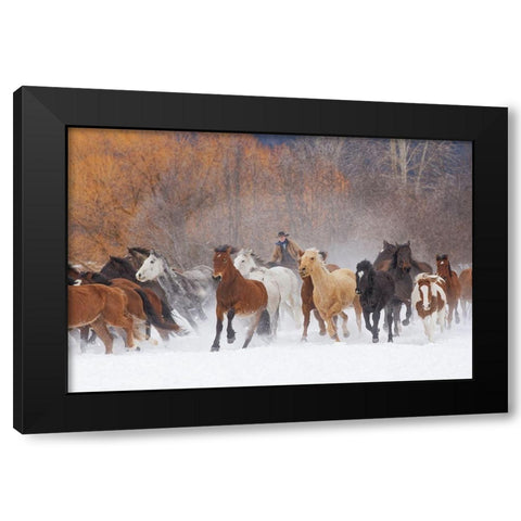 Cowboys during winter roundup-Kalispell-Montana Black Modern Wood Framed Art Print by Jones, Adam