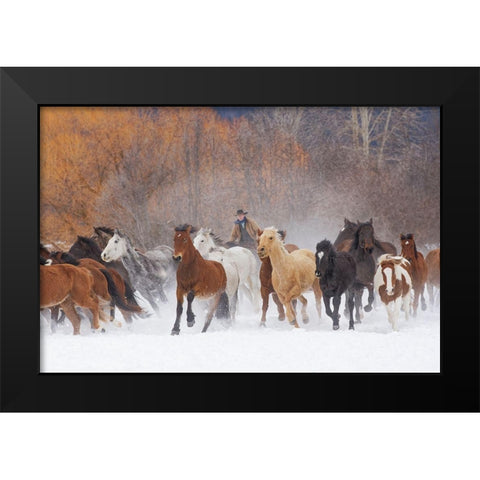 Cowboys during winter roundup-Kalispell-Montana Black Modern Wood Framed Art Print by Jones, Adam