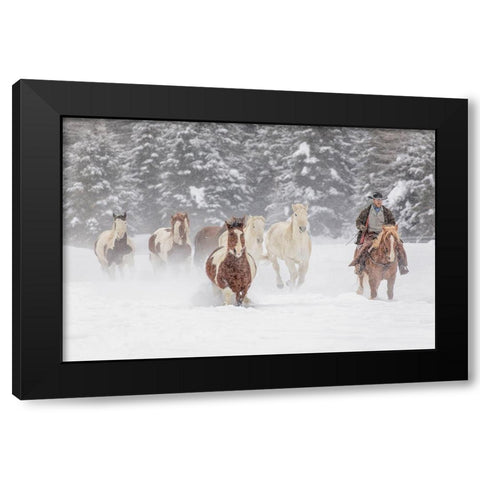 Cowboy during winter roundup-Kalispell-Montana Black Modern Wood Framed Art Print by Jones, Adam