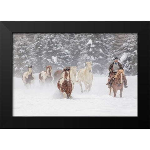 Cowboy during winter roundup-Kalispell-Montana Black Modern Wood Framed Art Print by Jones, Adam