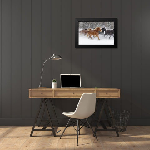 Rodeo horses running during winter roundup-Kalispell-Montana Black Modern Wood Framed Art Print by Jones, Adam