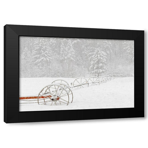 Irrigation sprinkler system in winter snowstorm-Kalispell-Montana Black Modern Wood Framed Art Print with Double Matting by Jones, Adam