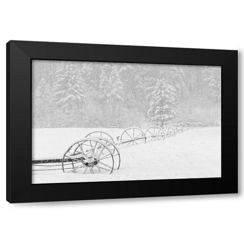 Irrigation sprinkler system in winter snowstorm-Kalispell-Montana Black Modern Wood Framed Art Print by Jones, Adam