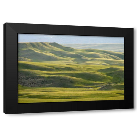 MT, Rocky Mt, Green hills east of Great Falls Black Modern Wood Framed Art Print with Double Matting by Paulson, Don