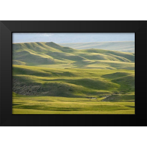 MT, Rocky Mt, Green hills east of Great Falls Black Modern Wood Framed Art Print by Paulson, Don