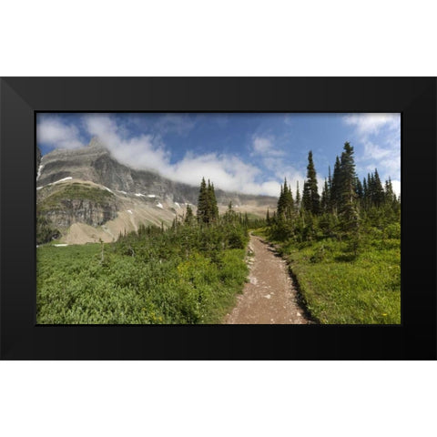 Montana, Glacier NP Hiking trail and landscape Black Modern Wood Framed Art Print by Grall, Don