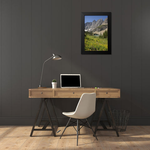 Montana, Glacier NP Meadow above Iceberg Lake Black Modern Wood Framed Art Print by Grall, Don