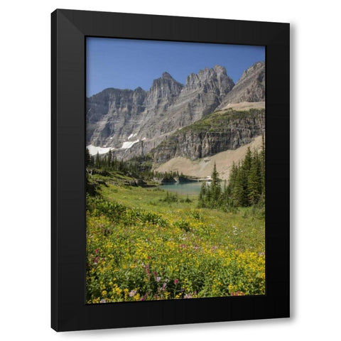 Montana, Glacier NP Meadow above Iceberg Lake Black Modern Wood Framed Art Print with Double Matting by Grall, Don