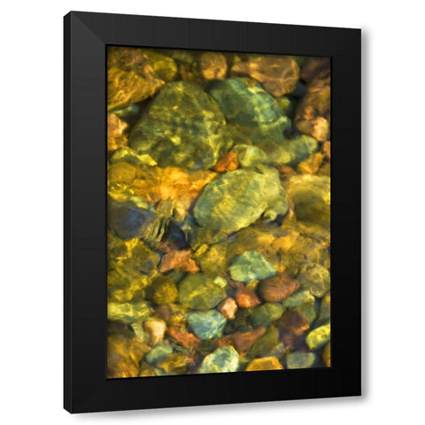 MT, Rattlesnake Wilderness Area Underwater rocks Black Modern Wood Framed Art Print with Double Matting by Rotenberg, Nancy