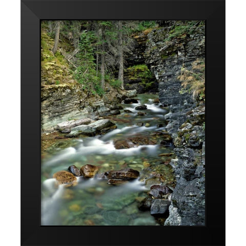 USA, Montana, Glacier NP Stream in Sunrift Gorge Black Modern Wood Framed Art Print by Terrill, Steve