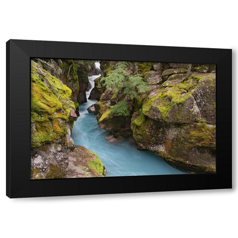 USA-Montana-Glacier National Park Glacial silt in Avalanche Creek flows through gorge Black Modern Wood Framed Art Print by Jaynes Gallery