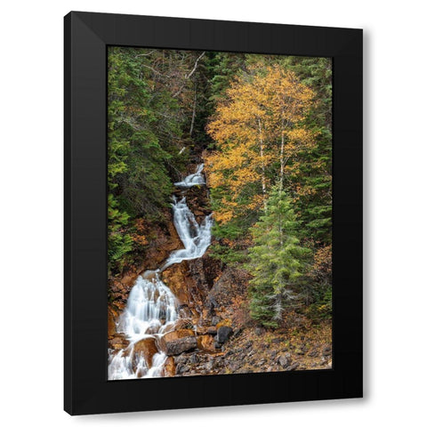 Fawn Creek Falls in autumn in the Flathead National Forest-Montana-USA Black Modern Wood Framed Art Print by Haney, Chuck