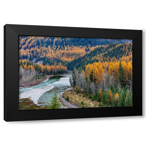 Middle Fork of the Flathead River in autumn in Glacier National Park-Montana-USA Black Modern Wood Framed Art Print with Double Matting by Haney, Chuck