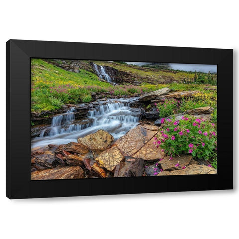 Alpine wildflowers along Oberlin Creek in Glacier National Park-Montana-USA Black Modern Wood Framed Art Print with Double Matting by Haney, Chuck