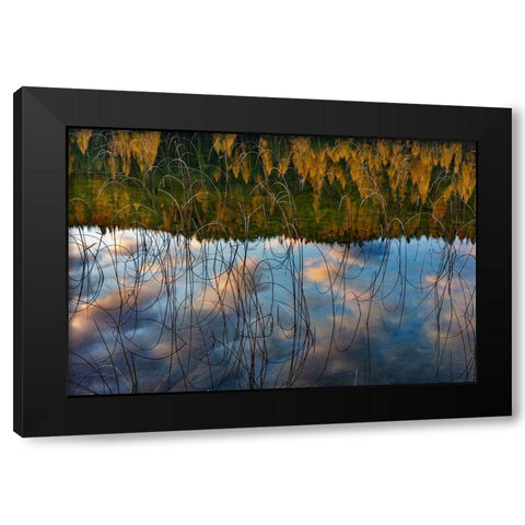 Autumn reflections in Spencer Lake near Whitefish-Montana-USA Black Modern Wood Framed Art Print with Double Matting by Haney, Chuck