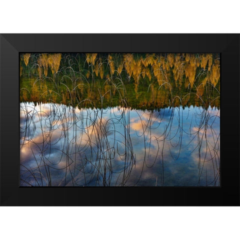 Autumn reflections in Spencer Lake near Whitefish-Montana-USA Black Modern Wood Framed Art Print by Haney, Chuck