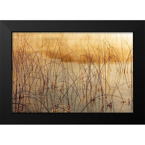 Icy reeds at sunrise on cold morning at Spencer Lake near Whitefish-Montana-USA Black Modern Wood Framed Art Print by Haney, Chuck